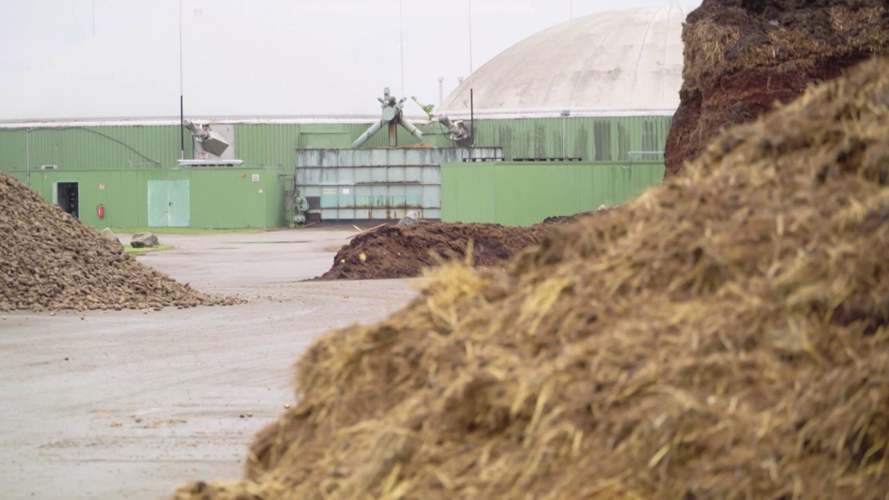 BioPower – Wenn aus Abfall Energie wird