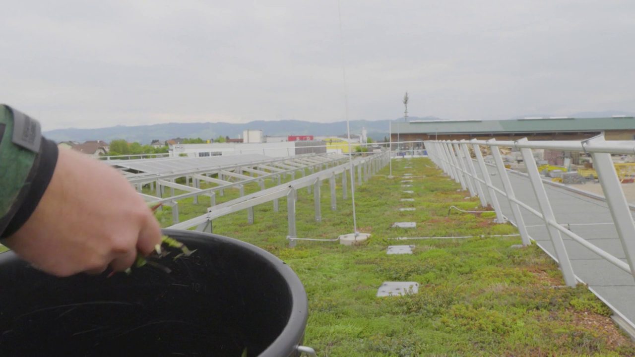 HAAS Garten-, Dach- und Landschaftsbau – Weg von der Datenflut
